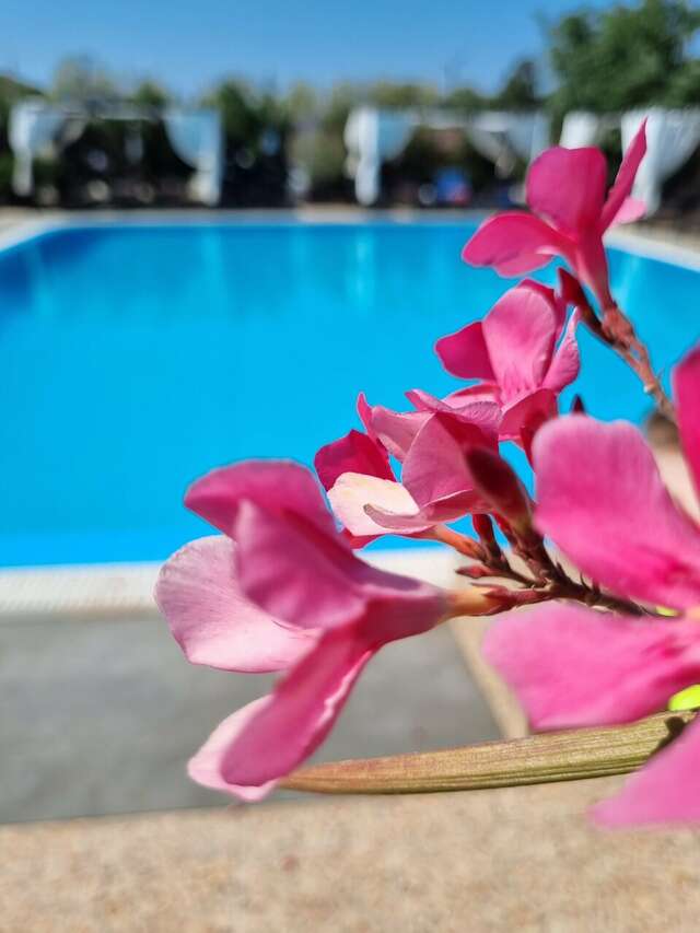 Гостиница Бонжур Сукко-134