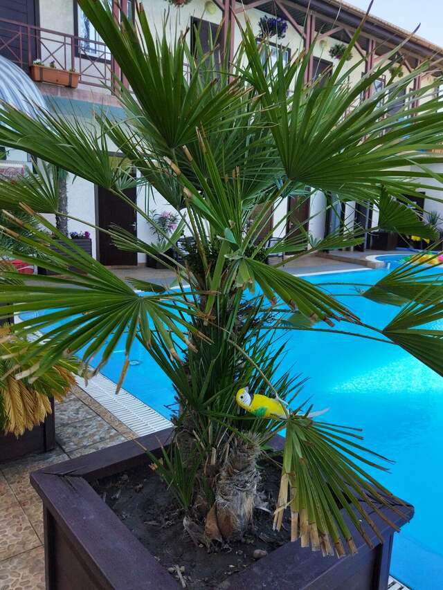 Гостиница Бонжур Сукко-140