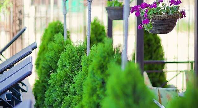 Гостиница Бонжур Сукко-23